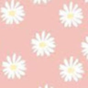 Meet your Posher, Willa